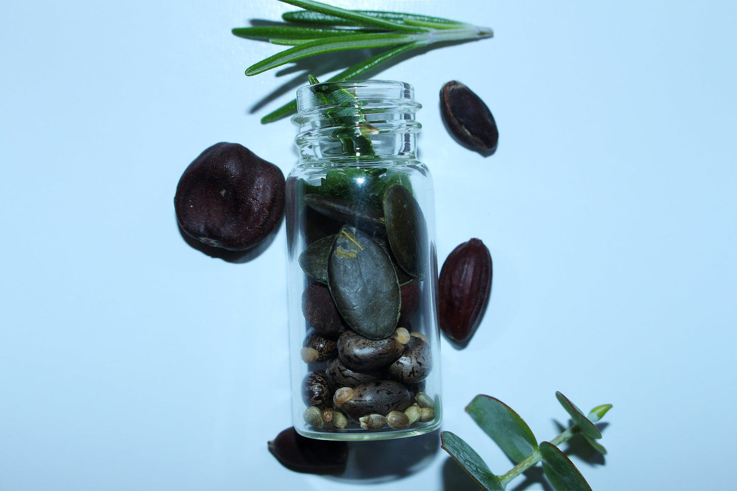 "Out Of Office" Scalp Serum Bundle - EightyEight - Nfinite Coils